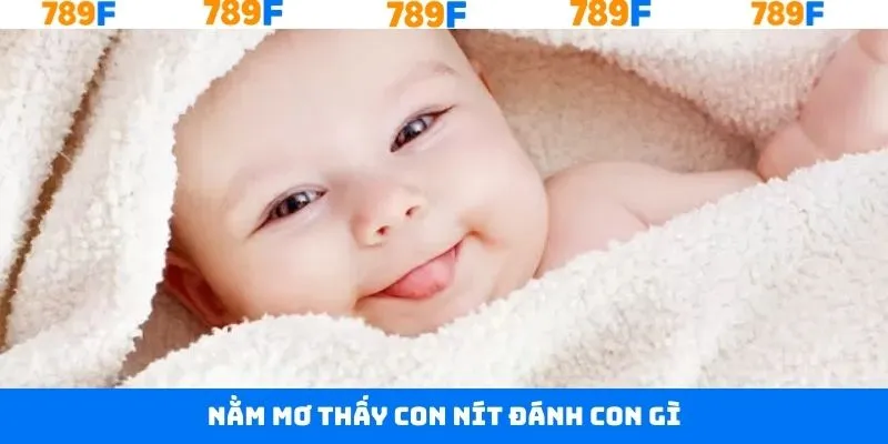 Nằm Mơ Thấy Quan Tài Đánh Con Gì Trúng Đậm Tại 789F 16 Nằm Mơ Thấy Con Nít Đánh Con Gì? Bí Quyết Chơi Lô Đề Hay
